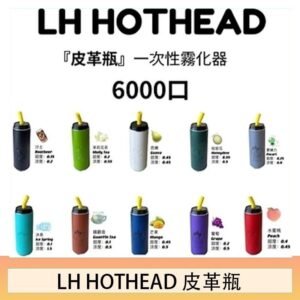 LH HOTHEAD皮革瓶電子煙可充電6000口一次性